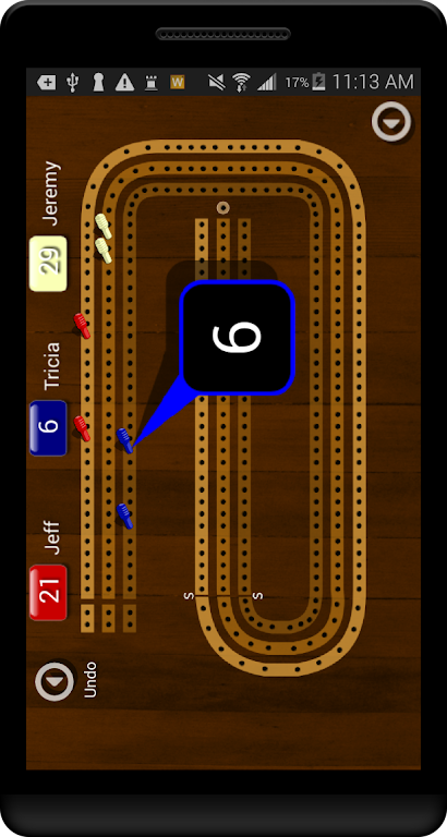 Cribbage Pegboard  Screenshot 2