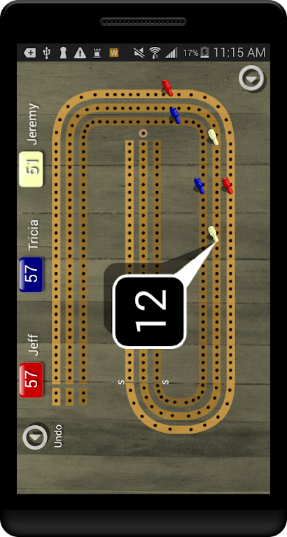 Cribbage Pegboard  Screenshot 3