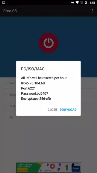 Free SS VPN  Screenshot 2