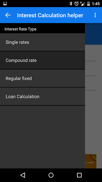 Interest Rate Calculation  Screenshot 3