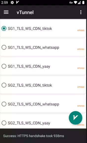 vTunnel VPN  Screenshot 1