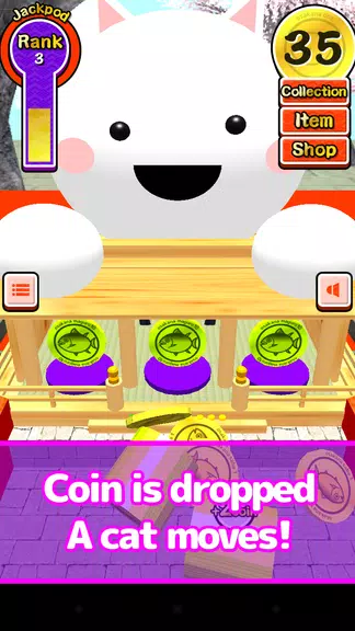 Festival coins (free game)  Screenshot 1