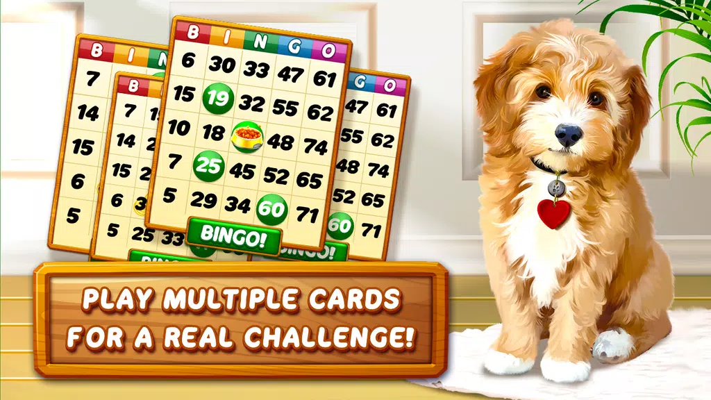 Bingo Dog - Fun Game 2022  Screenshot 3