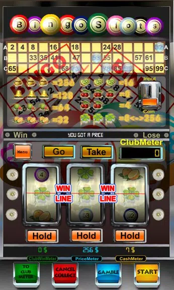 bingo slot machine free  Screenshot 2