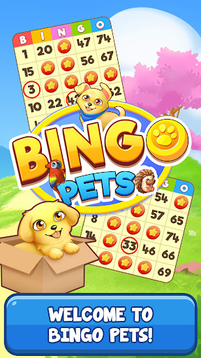 Bingo:  Free the Pets  Screenshot 1