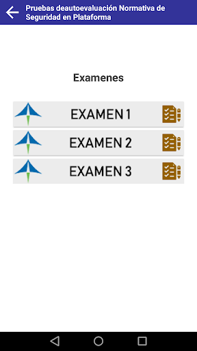 PCP TEST AENA 2018  Screenshot 4