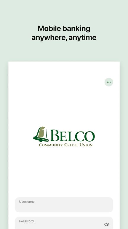 Belco CU Money Manager  Screenshot 1