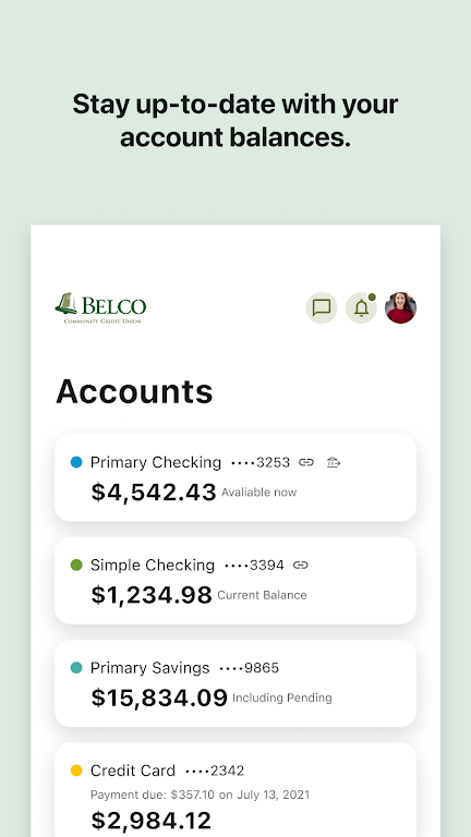 Belco CU Money Manager  Screenshot 3