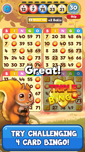 Bingo:  Free the Pets  Screenshot 3