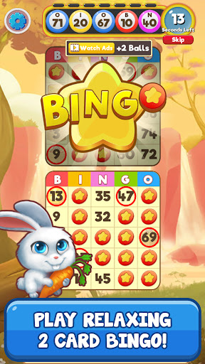 Bingo:  Free the Pets  Screenshot 2