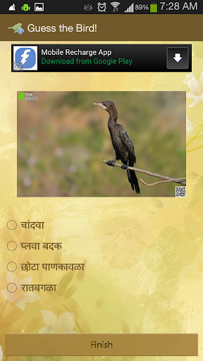 Guess the Bird - Photo Quiz  Screenshot 3