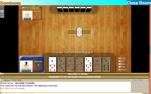 Dominoes Nidink  Screenshot 2