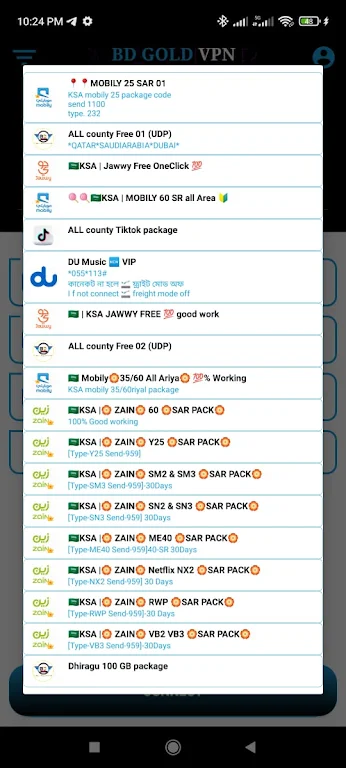 BDGOLD VPN  Screenshot 3