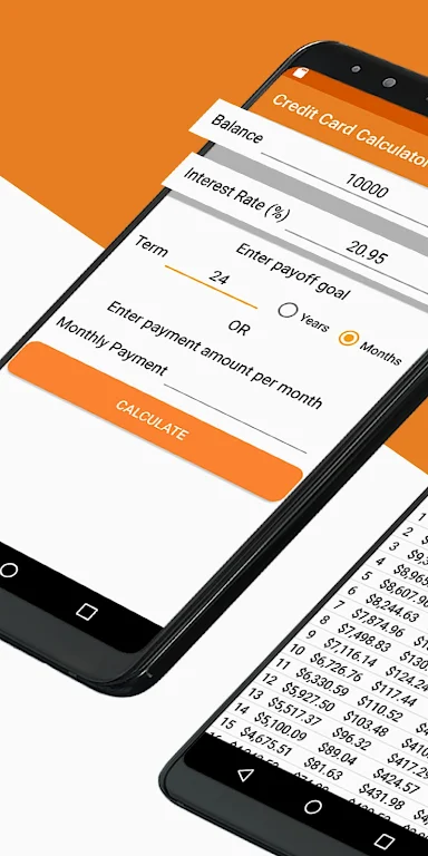 Credit Card Calculator  Screenshot 1