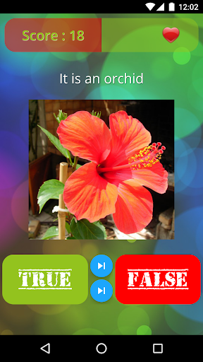 True or False? Trivia Quiz!  Screenshot 2