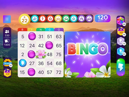 Bingo Relax  Screenshot 2