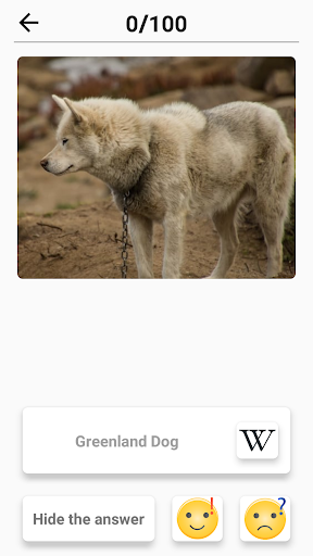 Dog Breeds - Quiz about all dogs of the world!  Screenshot 1