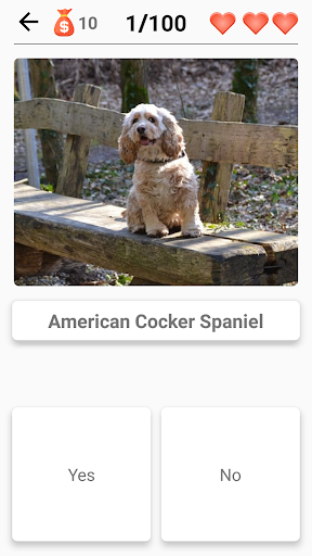 Dog Breeds - Quiz about all dogs of the world!  Screenshot 2