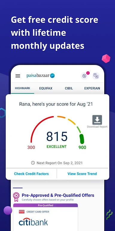 CreditScore, CreditCard, Loans  Screenshot 2