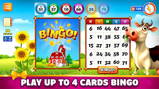 Bingo Cowboy Story  Screenshot 1