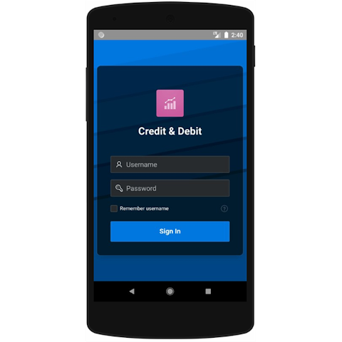 Credit Debit  Screenshot 1