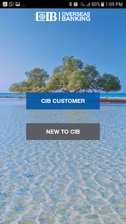 CIB Overseas Virtual Banking  Screenshot 1