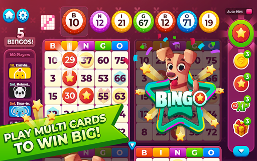 Bingo My Home  Screenshot 3