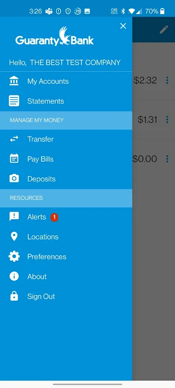 Guaranty Bank Mobile Banking  Screenshot 2