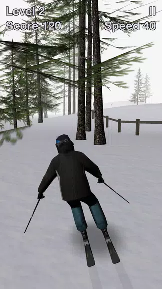 Alpine Ski III  Screenshot 1