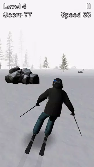 Alpine Ski III  Screenshot 2