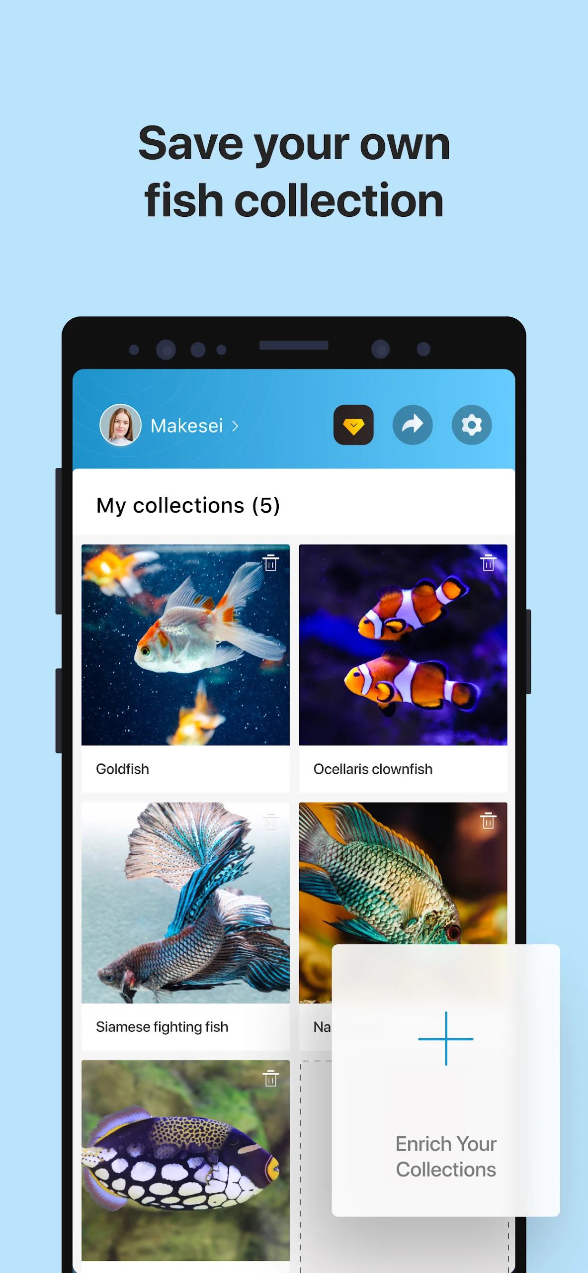 Picture Fish  Screenshot 6