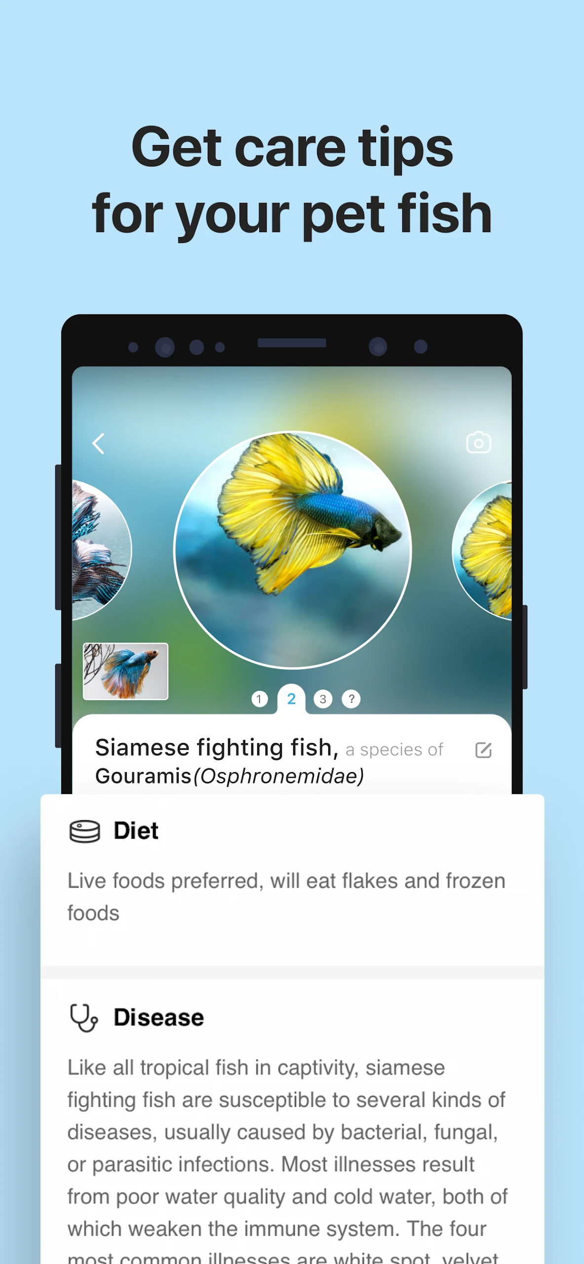Picture Fish  Screenshot 4
