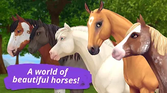 Star Stable Online  Screenshot 5