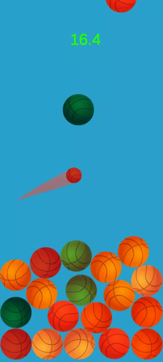 Basketball Blitz  Screenshot 3