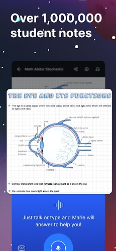 Knowunity  Screenshot 13