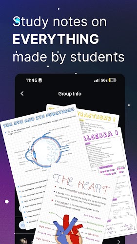 Knowunity  Screenshot 2