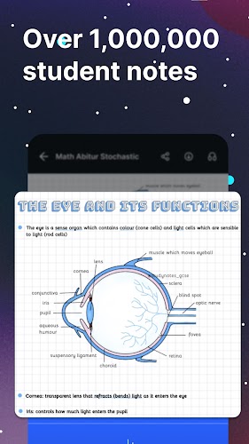 Knowunity  Screenshot 5