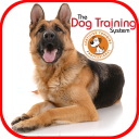 Dog Training APK