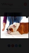 Dog Training  Screenshot 1