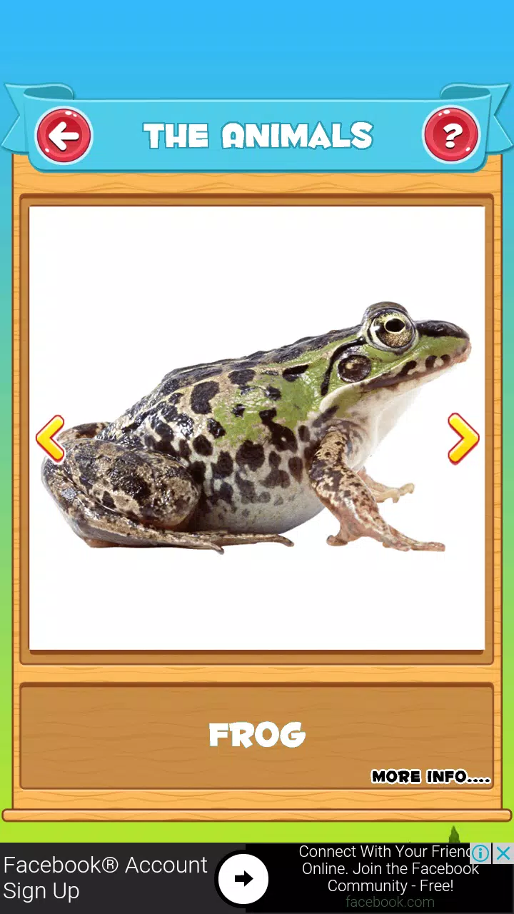 Learn the Animals  Screenshot 1