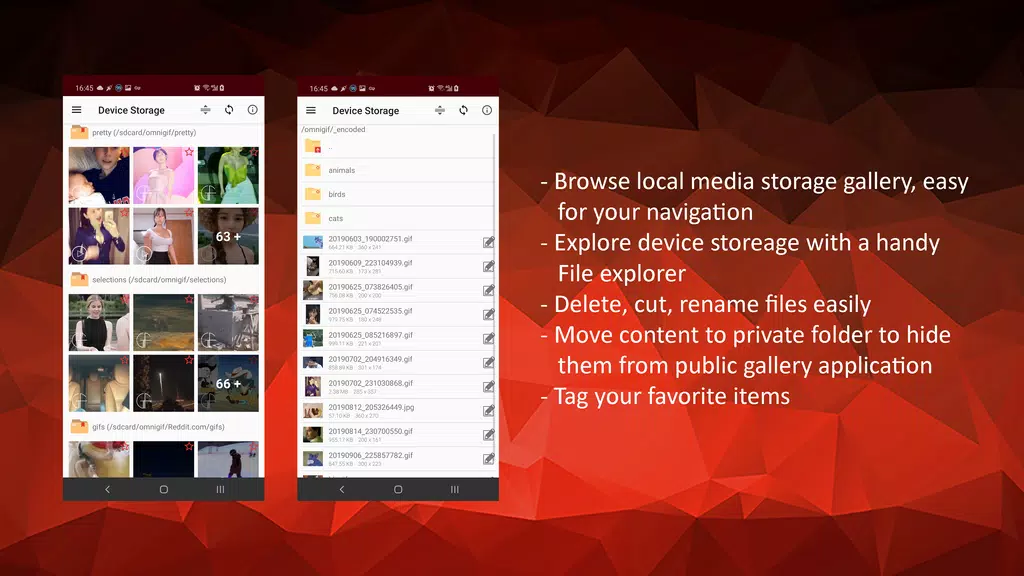 GIF Player - OmniGIF  Screenshot 2