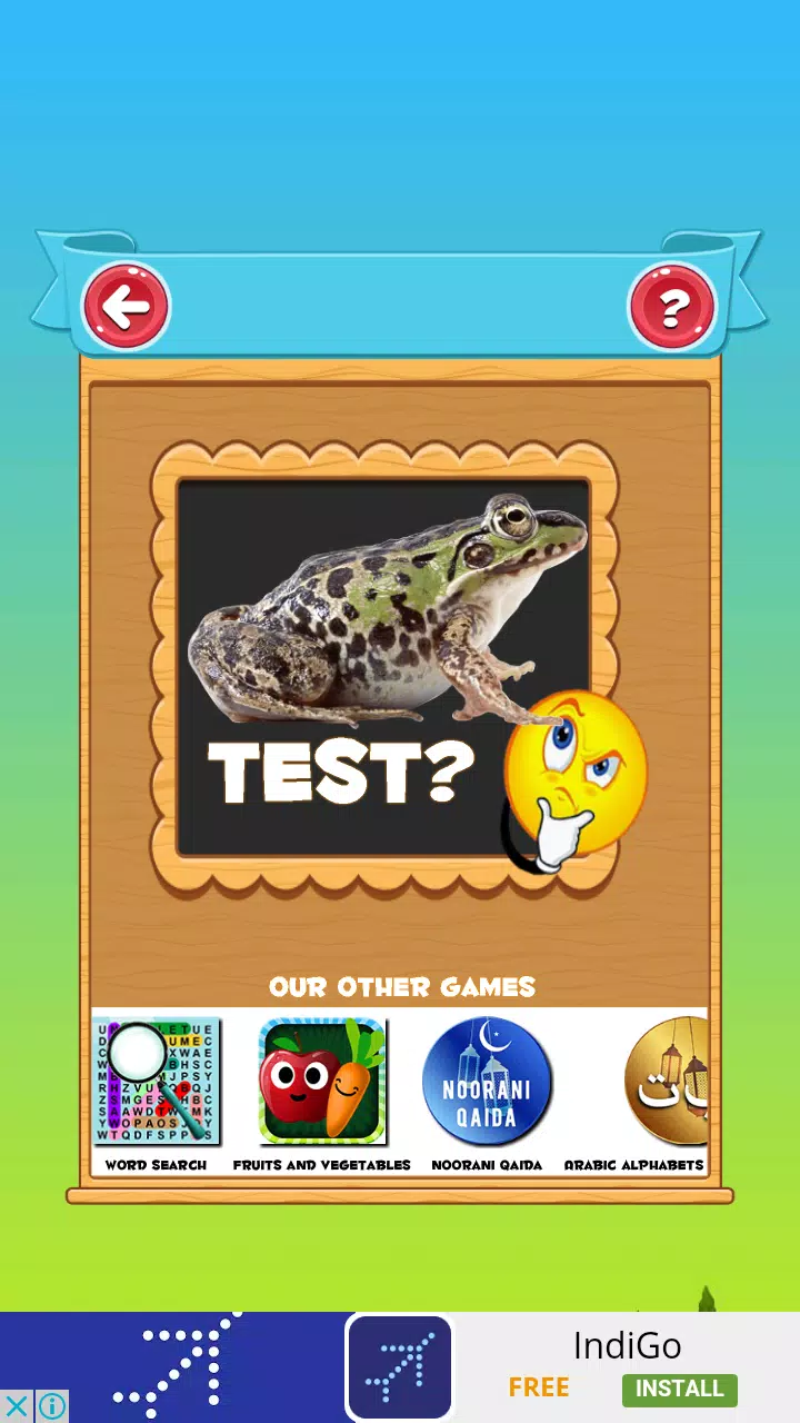 Learn the Animals  Screenshot 7