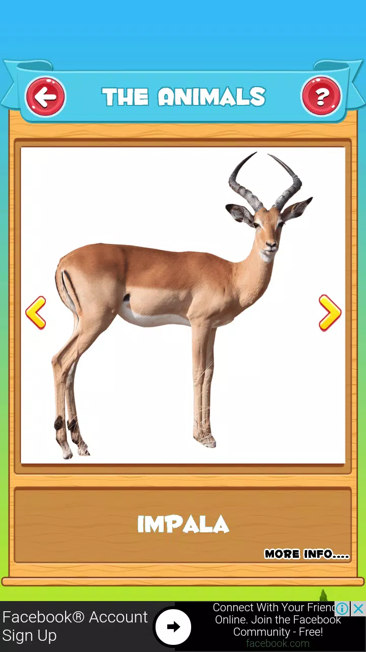 Learn the Animals  Screenshot 8