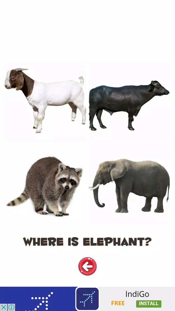 Learn the Animals  Screenshot 2