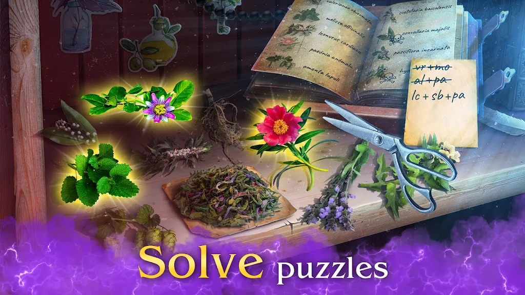 Ravencrow Legacy: Find Objects  Screenshot 2