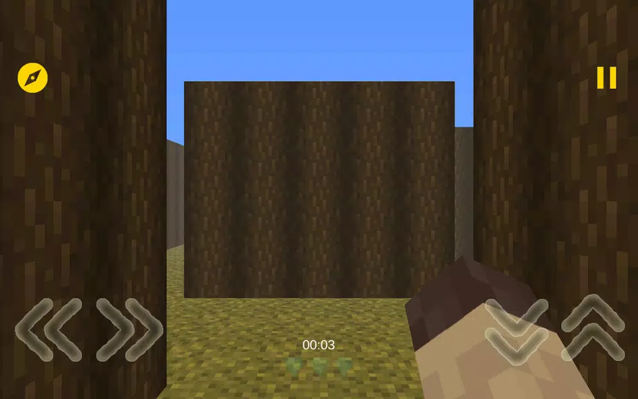Mine Maze 3D  Screenshot 1