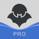 HaloVPN Pro APK