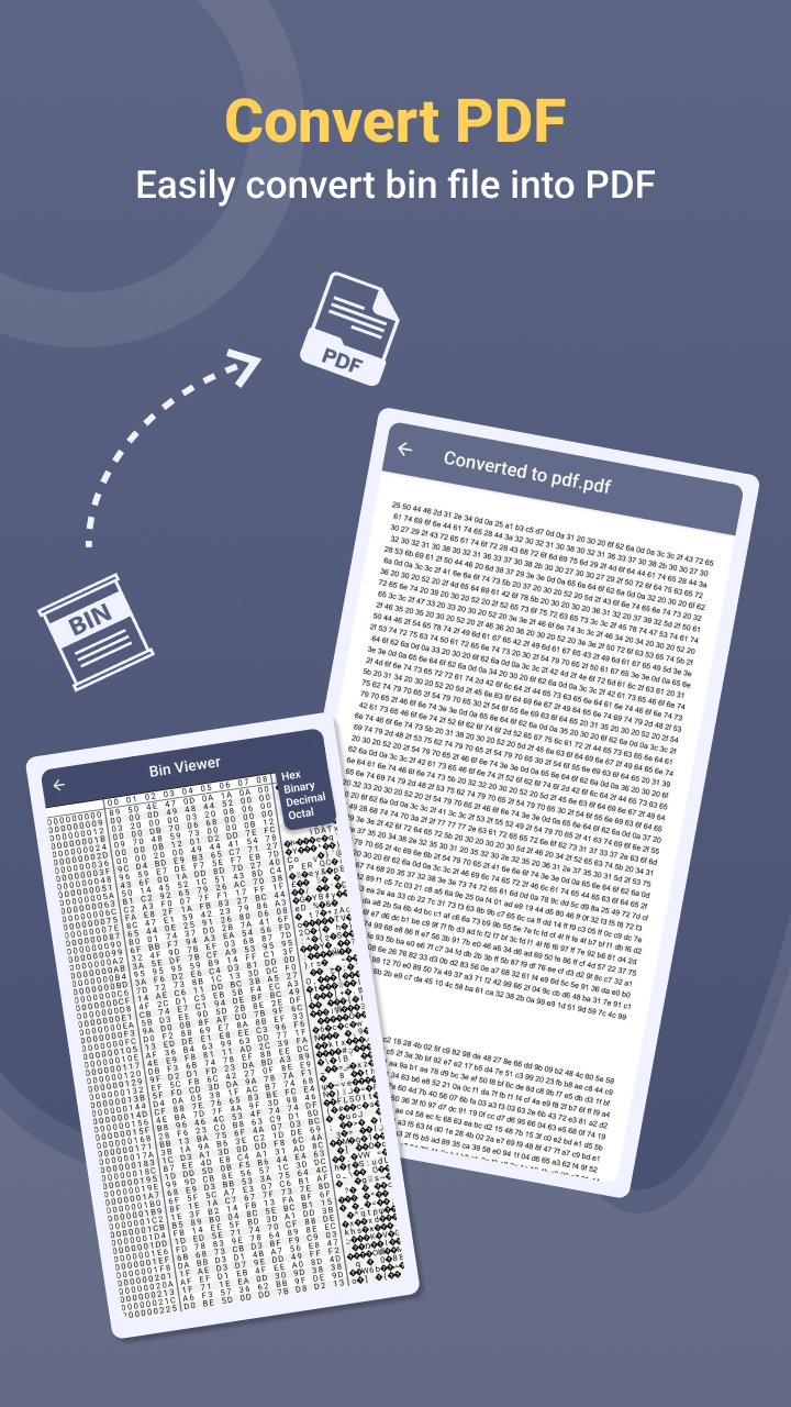 Bin File Opener and Viewer  Screenshot 3