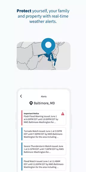 FEMA  Screenshot 4