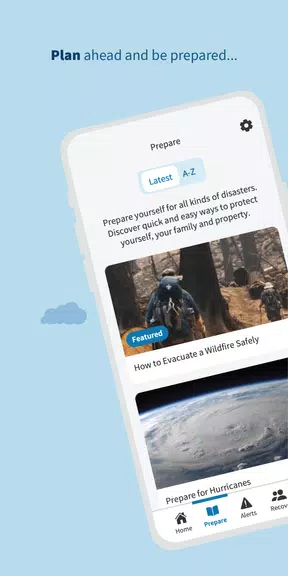 FEMA  Screenshot 2